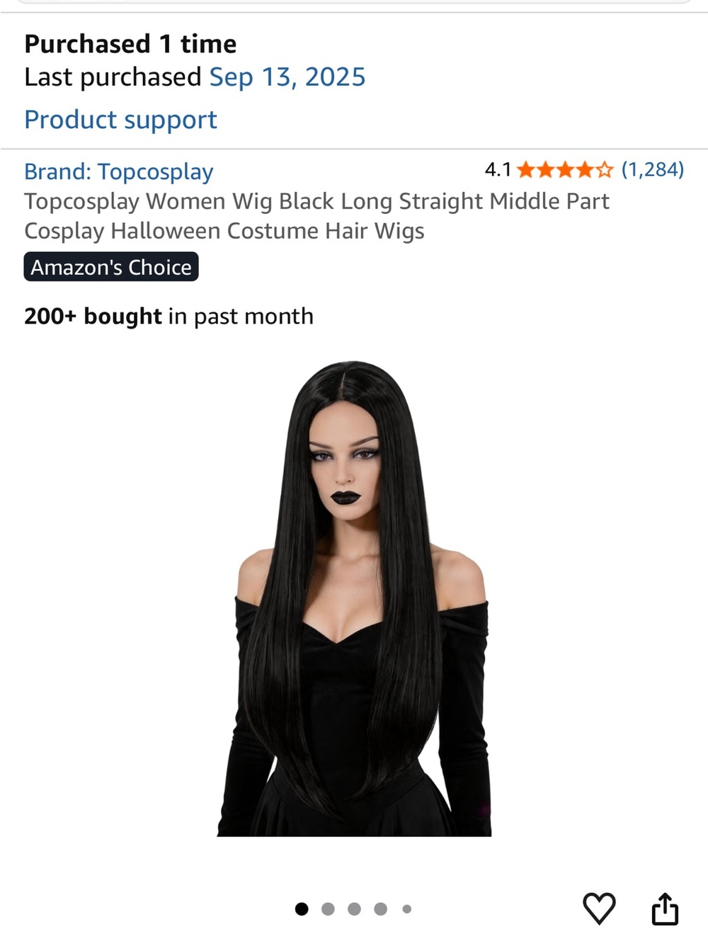 Black Long Straight Middle Part Women’s Wig/ Dress